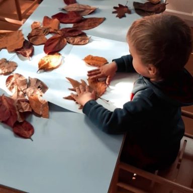 FE2238D9-F4DE-486C-8AD4-C69260B6DFE4